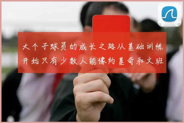 大个子球员的成长之路从基础训练开始只有少数人能像约基奇和文班那样成功